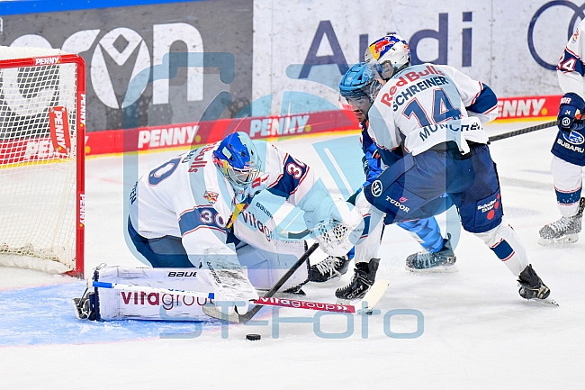 Eishockey, Herren, DEL, Saison 2025-2026, Spiel 31, ERC Ingolstadt - EHC Red Bull München, 23.12.2025
