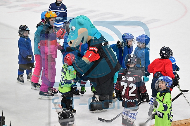 Eishockey, Herren, DEL, Saison 2022-2023, ERC Ingolstadt - Kids On Ice Day, 14.01.2023