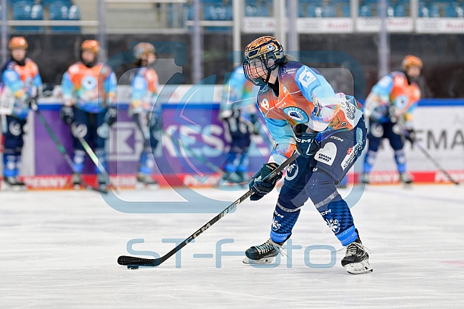 Eishockey, Frauen, DFEL, Saison 2024-2025, ERC Ingolstadt - ECDC Memmingen Indians, 16.11.2024