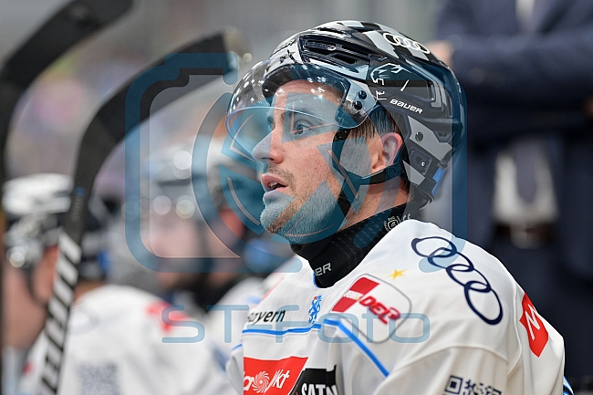 Eishockey, Herren, DEL, Saison 2024-2025, Vorbereitung, ERC Ingolstadt - Dresdner Eislöwen, 18.08.2024