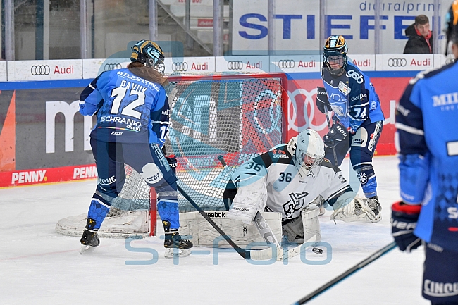 Eishockey, Frauen, DFEL, Saison 2023-2024, ERC Ingolstadt - Amsterdam Tigers, 06.01.2024