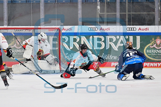 Eishockey, Frauen, DFEL, Saison 2024-2025, ERC Ingolstadt - EC Bergkamener Bären, 12.10.2024