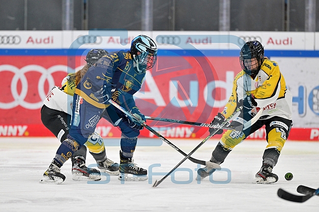 Eishockey, Frauen, DFEL, Saison 2022-2023, ERC Ingolstadt - Mad Dogs Mannheim, 19.11.2022