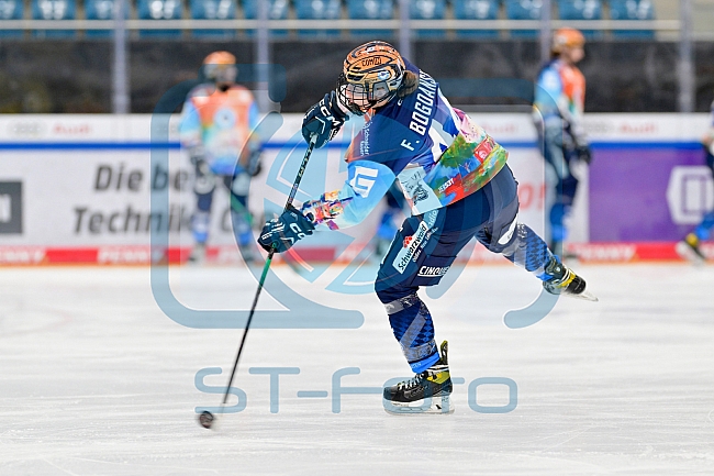 Eishockey, Frauen, DFEL, Saison 2024-2025, ERC Ingolstadt - ECDC Memmingen Indians, 16.11.2024