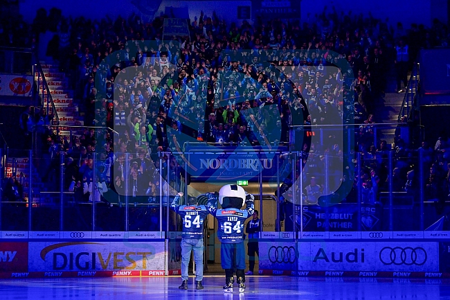 Eishockey, Herren, DEL, Saison 2025-2026, Spiel 43, ERC Ingolstadt - Schwenninger Wild Wings, 25.01.2026