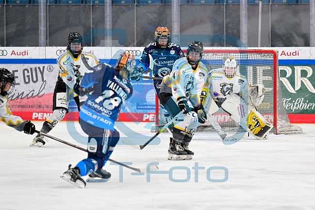 Eishockey, Frauen, DFEL, Saison 2024-2025, ERC Ingolstadt - Mad Dogs Mannheim, 23.11.2024