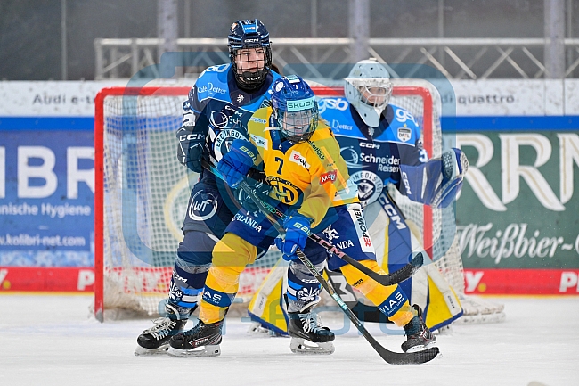 Eishockey, Frauen, DFEL, Saison 2025-2026, Testspiel, ERC Ingolstadt - HC Davos, 14.02.2026