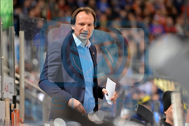 ERC Ingolstadt vs Grizzlys Wolfsburg, Eishockey, DEL, Deutsche Eishockey Liga, 31.01.2016