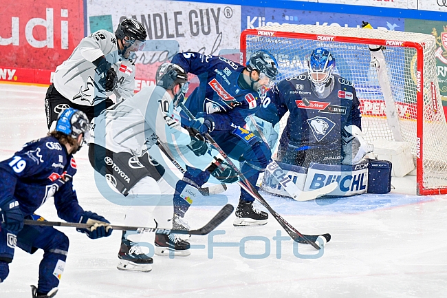 Eishockey, Herren, DEL, Saison 2024-2025, Playoffs Halbfinale, Spiel 3, ERC Ingolstadt - Kölner Haie, 06.04.2025