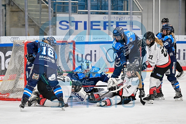 Eishockey, Frauen, DFEL, Saison 2025-2026, ERC Ingolstadt - HK Budapest, 15.11.2025