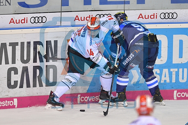 ERC Ingolstadt vs Schwenninger Wild Wings, DEL, Deutsche Eishockey Liga, Spieltag 48, 19.02.2019