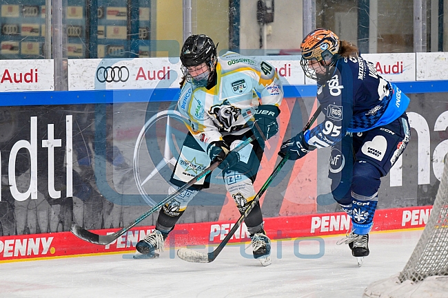 Eishockey, Frauen, DFEL, Saison 2024-2025, ERC Ingolstadt - Mad Dogs Mannheim, 23.11.2024