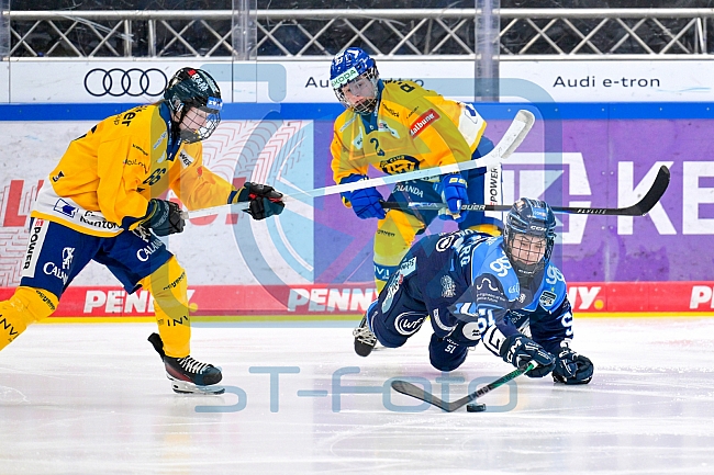 Eishockey, Frauen, DFEL, Saison 2025-2026, Testspiel, ERC Ingolstadt - HC Davos, 14.02.2026