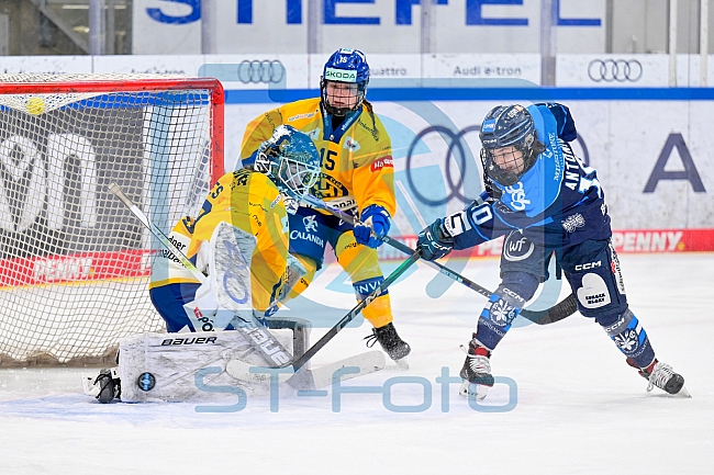 Eishockey, Frauen, DFEL, Saison 2025-2026, Testspiel, ERC Ingolstadt - HC Davos, 14.02.2026