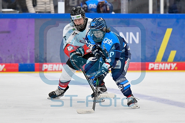 Eishockey, Frauen, DFEL, Saison 2025-2026, ERC Ingolstadt - HK Budapest, 15.11.2025