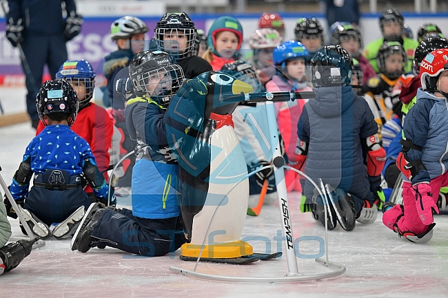 Eishockey, Herren, DEL, Saison 2022-2023, ERC Ingolstadt - Kids On Ice Day, 19.11.2022