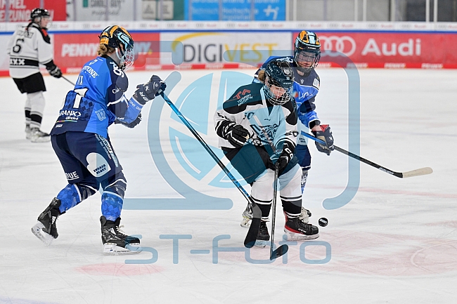 Eishockey, Frauen, DFEL, Saison 2023-2024, ERC Ingolstadt - Amsterdam Tigers, 06.01.2024