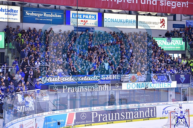 ERC Ingolstadt vs Straubing Tigers, DEL, Deutsche Eishockey Liga, Spieltag 52, 03.03.2019