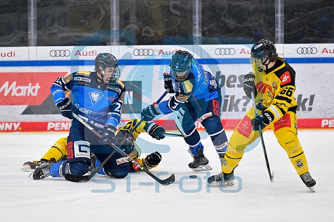 Eishockey, U20, DNL, Saison 2024-2025, ERC Ingolstadt - Krefelder EV 81, 01.03.2025