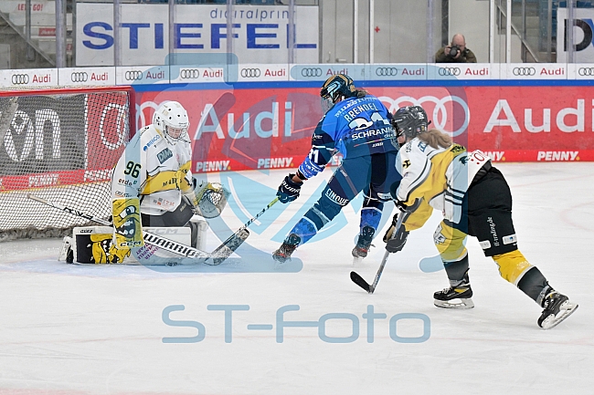 Eishockey, Frauen, DFEL, Saison 2023-2024, ERC Ingolstadt - Mad Dogs Mannheim, 18.02.2024