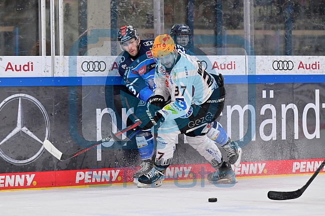Eishockey, Herren, DEL, Saison 2023-2024, Playoffs Viertelfinale - Spiel 2, ERC Ingolstadt - Fischtown Pinguins , 20.03.2024