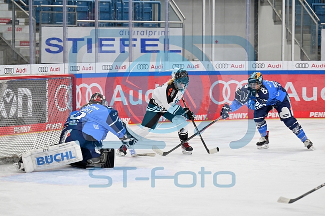 Eishockey, Frauen, DFEL, Saison 2023-2024, ERC Ingolstadt - Amsterdam Tigers, 06.01.2024