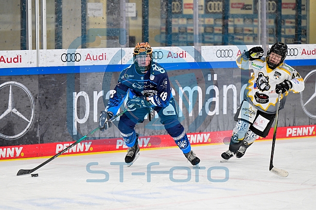 Eishockey, Frauen, DFEL, Saison 2024-2025, ERC Ingolstadt - Mad Dogs Mannheim, 23.11.2024
