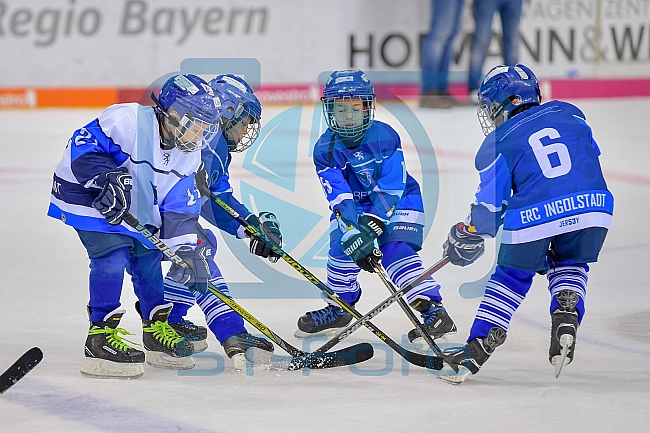 ERC Ingolstadt vs Fischtown Pinguins, Eishockey, DEL, Deutsche Eishockey Liga, Spieltag 13, 21.10.2018