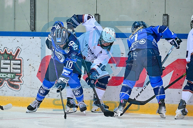 Eishockey, Frauen, DFEL, Saison 2026-2027, ERC Ingolstadt - Eisbären Juniors Berlin, 20.09.2026