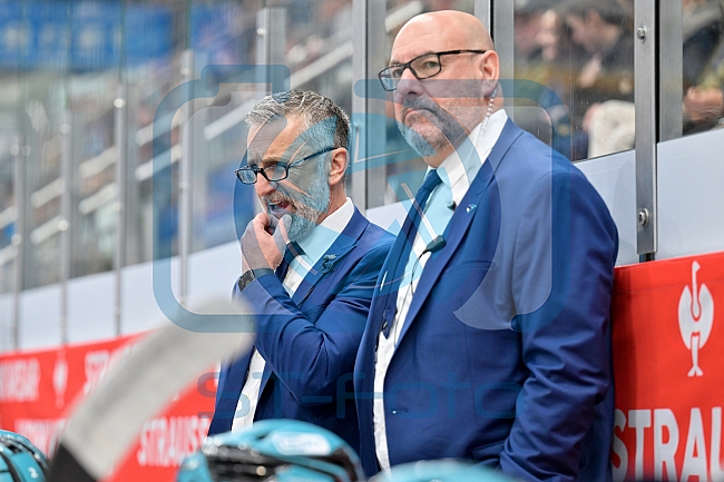 Hockey, Mens, CHL, Season 2025-2026, Regular Season, Round of 16, ERC Ingolstadt - EC Red Bull Salzburg, 12.11.2025