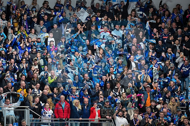 Eishockey, Herren, DEL, Saison 2024-2025, Playoffs Halbfinale, Spiel 1, ERC Ingolstadt - Kölner Haie, 02.04.2025
