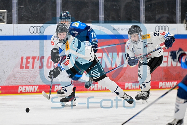 Eishockey, Herren, U20 DNL, Saison 2025-2026, ERC Ingolstadt - ESC Dresden, 14.02.2026