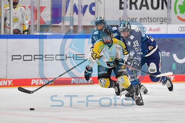 Eishockey, Frauen, DFEL, Saison 2021-2022, ERC Ingolstadt - Mad Dogs Mannheim, 23.10.2021