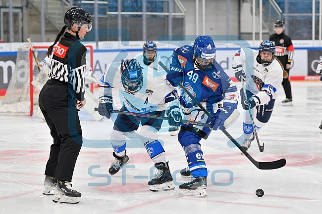 Eishockey, Frauen, DFEL, Saison 2026-2027, Testspiel, ERC Ingolstadt - ZSC Lions Zürich, 05.09.2026
