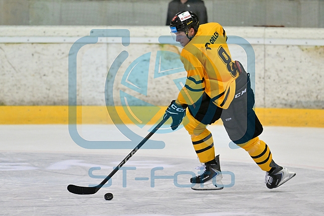 Eishockey, Herren, DEL, Saison 2026-2027, ERC Ingolstadt - HC Verva Litvinov - Steinbach Black Wings Linz, 22.08.2026