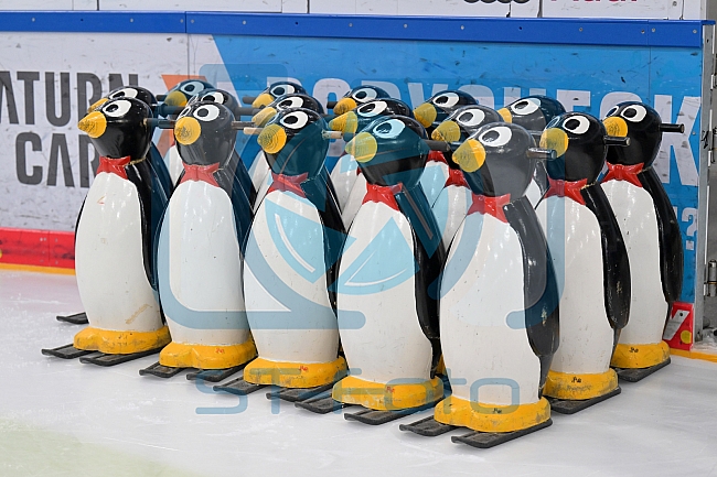 Eishockey, Herren, DEL, Saison 2022-2023, ERC Ingolstadt - Kids On Ice Day, 14.01.2023