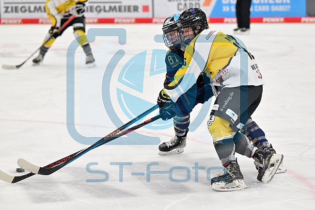 Eishockey, Frauen, DFEL, Saison 2022-2023, ERC Ingolstadt - Mad Dogs Mannheim, 19.11.2022