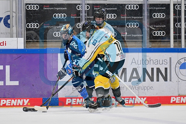 Eishockey, Frauen, DFEL, Saison 2023-2024, ERC Ingolstadt - Mad Dogs Mannheim, 18.02.2024