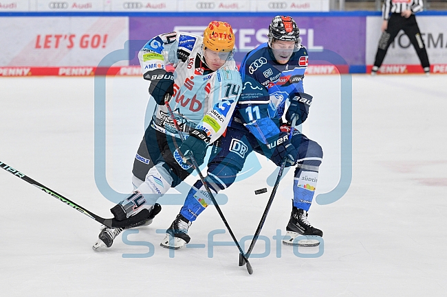 Eishockey, Herren, DEL, Saison 2023-2024, Playoffs Viertelfinale - Spiel 2, ERC Ingolstadt - Fischtown Pinguins , 20.03.2024