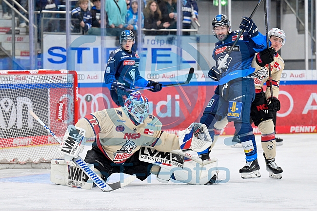 Eishockey, Herren, DEL, Saison 2024-2025, Playoffs Viertelfinale, Spiel 1, ERC Ingolstadt - Nürnberg Ice Tigers, 16.03.2025