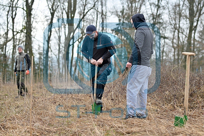Eishockey, Herren, DEL, Saison 2023-2024, ERC Ingolstadt - Baumpflanzaktion, 02.03.2024