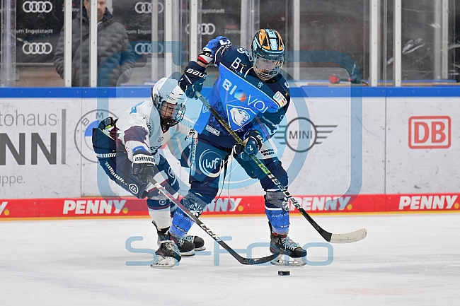 Eishockey, Frauen, DFEL, Playoffs, Saison 2023-2024, ERC Ingolstadt - Eisbären Berlin, 02.03.2024
