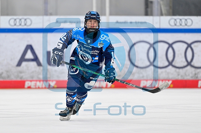 Eishockey, Frauen, DFEL, Saison 2025-2026, Testspiel, ERC Ingolstadt - HC Davos, 14.02.2026