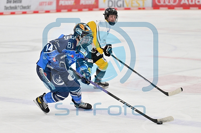 Eishockey, Frauen, DFEL, Saison 2023-2024, ERC Ingolstadt - Mad Dogs Mannheim, 18.02.2024
