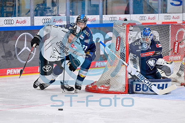 Eishockey, Herren, DEL, Saison 2024-2025, Playoffs Halbfinale, Spiel 5, ERC Ingolstadt - Kölner Haie, 11.04.2025