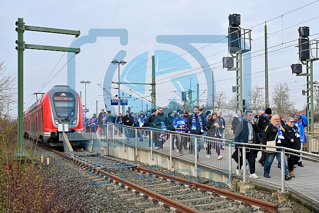 Eishockey, Herren, DEL, Saison 2025-2026, Spiel 24, Nürnberg Ice Tigers - ERC Ingolstadt, 30.11.2025