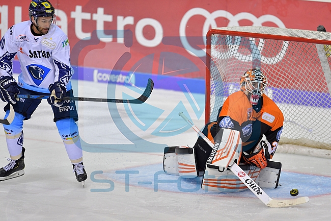 ERC Ingolstadt vs Grizzlys Wolfsburg, Eishockey, DEL, Deutsche Eishockey Liga, Spieltag 7, 03.10.2018