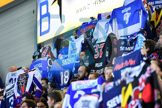 ERC Ingolstadt vs Adler Mannheim, Eishockey, DEL, Deutsche Eishockey Liga, Spieltag 43, 29.01.2017