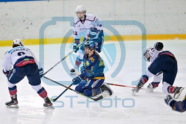 Eishockey, Frauen, DFEL, Saison 2022-2023, ERC Ingolstadt - Eisbären Berlin, 05.02.2023
