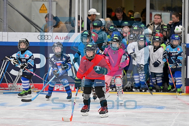 Eishockey, Herren, DEL, Saison 2023-2024, ERC Ingolstadt - Kids on Ice Day, 18.11.2023